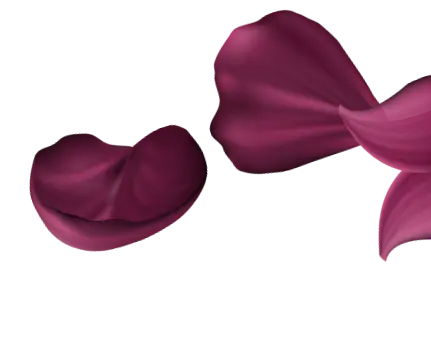Red Flowers